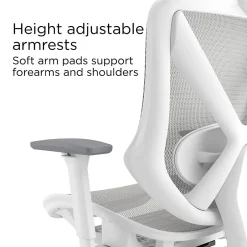 Sale Dexley Ergonomic Mesh Swivel Task Chair, (UN61365) Ergonomic Chairs