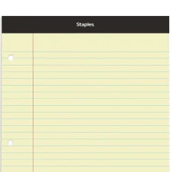 Staples Double-Sheet Notepad, 8.5