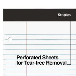 Staples Double-Sheet Notepad, 8.5