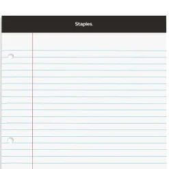 Staples Double-Sheet Notepad, 8.5