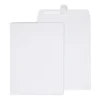 Staples EasyClose Catalog Envelopes, 9"L x 12"H, White, 250/Box (479885N)* Catalog
