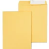 Staples EasyClose Kraft Catalog Envelopes, 10"L x 13"H, Brown, 100/Box (381969/19023)* Security Tinted