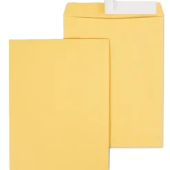 Staples EasyClose Kraft Catalog Envelopes, 10"L x 13"H, Brown, 100/Box (381969/19023)* Security Tinted