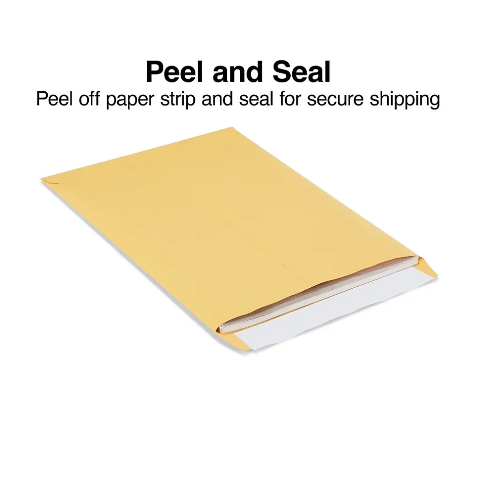 Staples EasyClose Kraft Catalog Envelopes, 10"L x 13"H, Brown, 100/Box (381969/19023)* Security Tinted