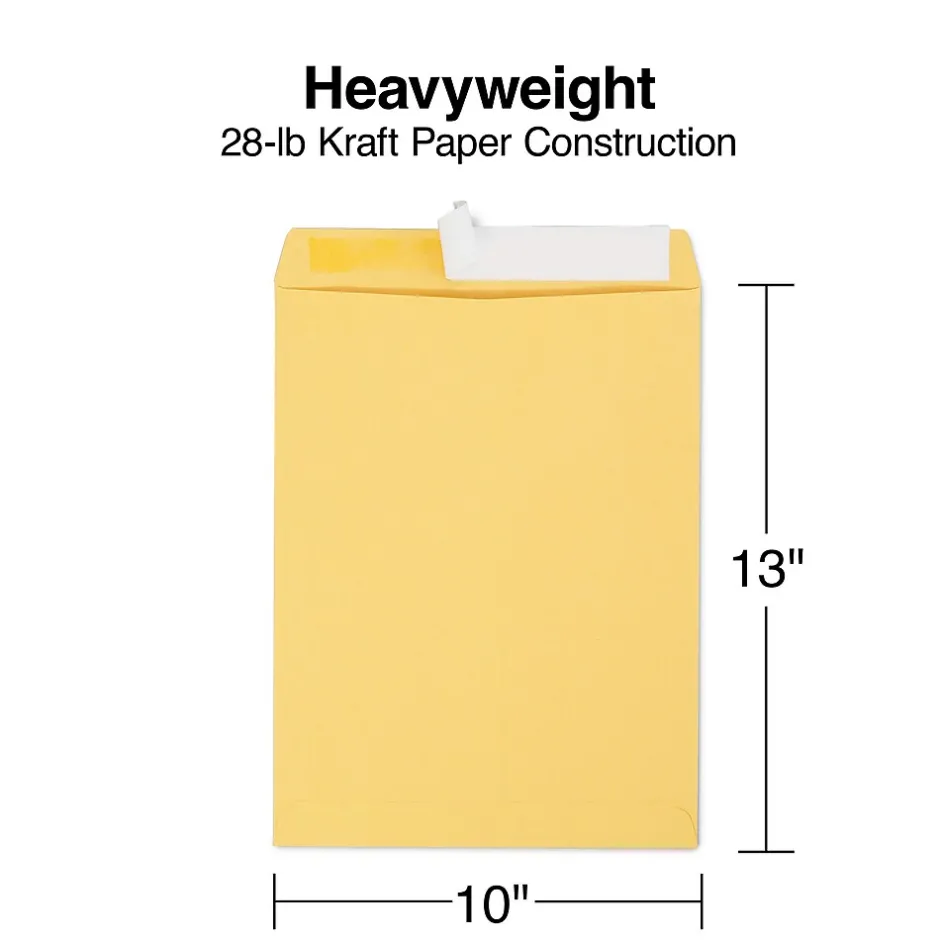Staples EasyClose Kraft Catalog Envelopes, 10"L x 13"H, Brown, 100/Box (381969/19023)* Security Tinted