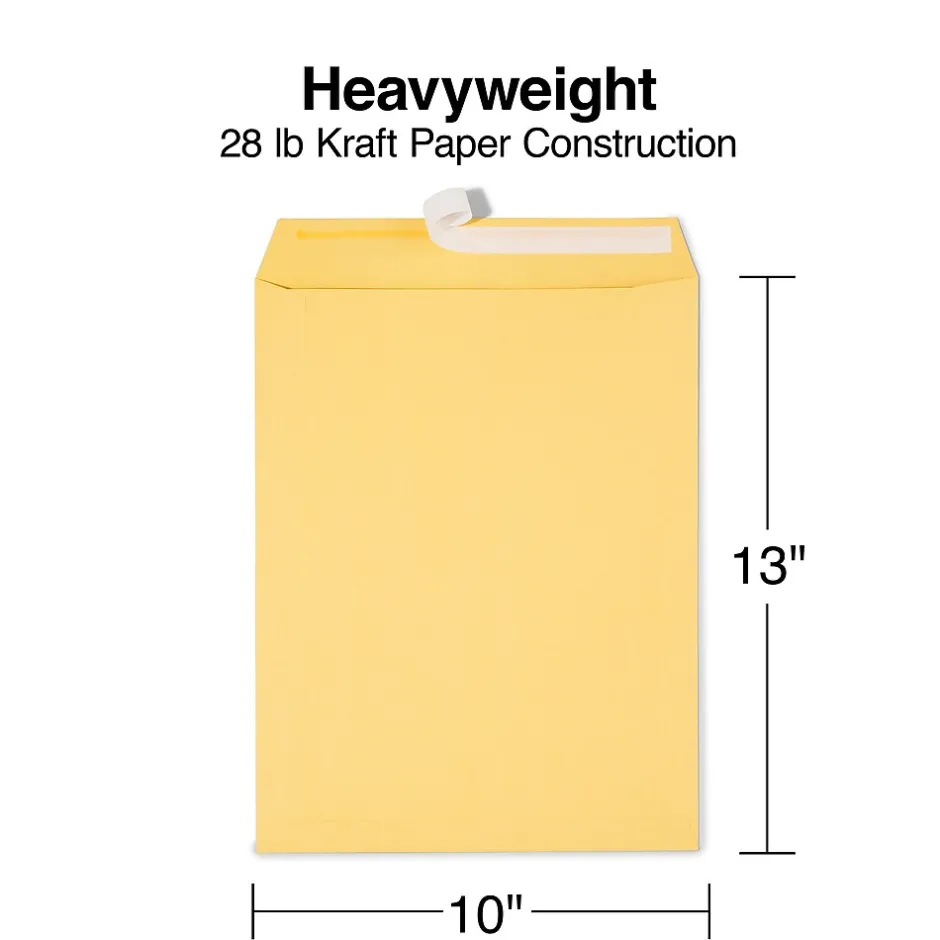 Staples EasyClose Kraft Catalog Envelopes, 10"L x 13"H, Brown, 250/Box (479889/14238)* Security Tinted