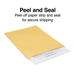 Staples EasyClose Self Seal #10 1/2 Kraft Catalog Envelope, 9" x 12", Brown, 250/Box (ST479888-CC)* Catalog