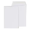 Staples Economy Gummed Catalog Envelopes, 6" x 9", White, 250/Box (50303T)* Catalog