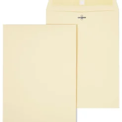 Staples Extra-Heavyweight Clasp & Moistenable Glue Catalog Envelopes, 9"L x 12"H, Manila, 100/Box (121962/19276)* Catalog