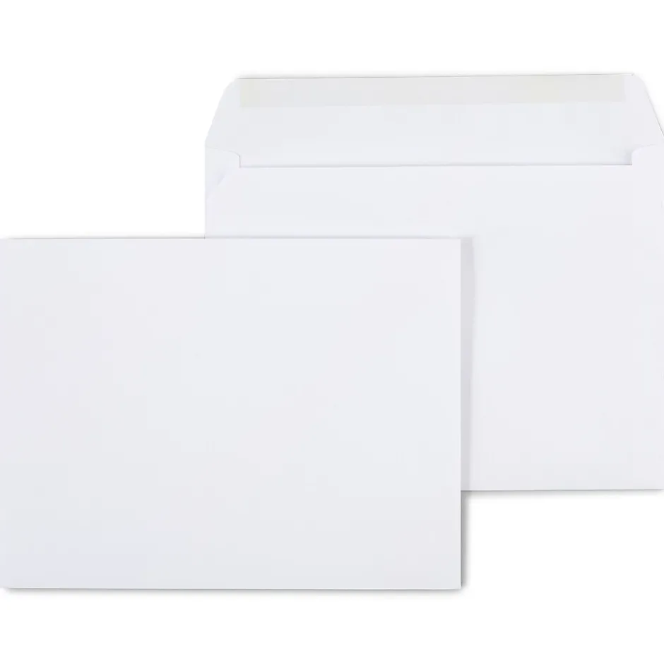 Staples Gummed Booklet Envelopes, 9" x 12", White, 100/Box (473009/19307)* Business