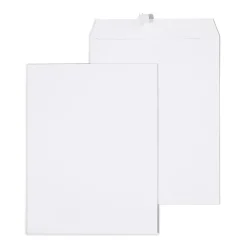 Staples Gummed Catalog Envelopes, 10"L x 13"H, White, 100/Box (295840N)* Catalog