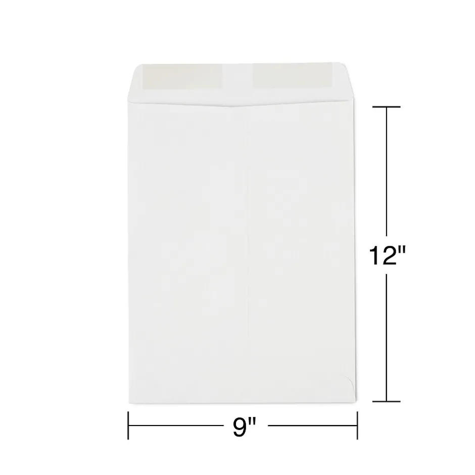 Staples Gummed Kraft Catalog Envelopes, 9" x 12", Gray, 100/Box (SPL381968)* Catalog