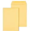 Staples Gummed Kraft Catalog Envelopes, 6.5" x 9.5", Brown, 100/Box (SPL534701)* Catalog