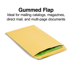 Staples Gummed Kraft Catalog Envelopes, 6.5" x 9.5", Brown, 100/Box (SPL534701)* Catalog