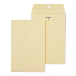 Staples Kraft Catalog Envelopes, 6" x 9", Manila, 100/Box (918765/19381)* Catalog