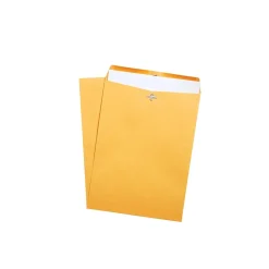 Staples Kraft Clasp & Moistenable Glue Catalog Envelopes, 9