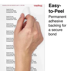 Staples Laser/Inkjet Address Labels, 1