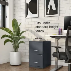 Discount Light Duty 2-Drawer Mobile Vertical File Cabinet, Letter Size, Lockable, 24.1