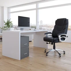 Discount Light Duty 2-Drawer Mobile Vertical File Cabinet, Letter Size, Lockable, 24.1