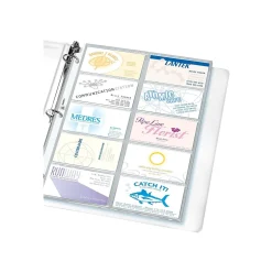 Staples Pages, Clear, 20 Card Capacity, 10/Pack (15934) Online