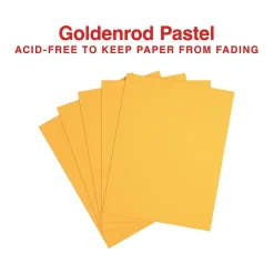 Online Pastel 30% Recycled Color Copy Paper, 20 lbs., 8.5