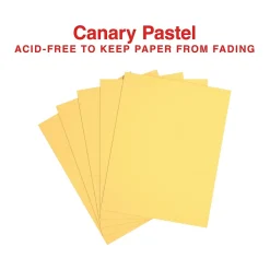 Online Pastel 30% Recycled Color Copy Paper, 20 lbs., 8.5