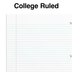 Staples Premium 1-Subject Notebook, 8.5