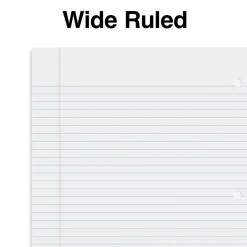 Staples Premium 5-Subject Subject Notebooks, 8.5