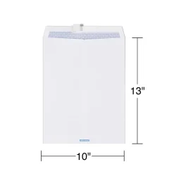 Staples QuickStrip EasyClose Self Seal Security Tinted Catalog Envelopes, 10
