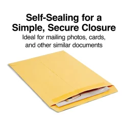 Staples Self Seal #13 1/2 Kraft Catalog Envelope, 10" x 13", Brown, 250/Box (ST486933-CC)* Catalog