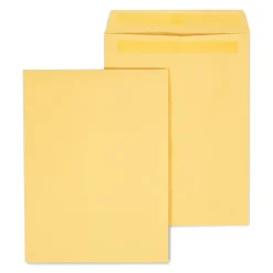Staples Self Seal Kraft Catalog Envelopes, 9"L x 12"H, Brown, 100/Box (534800/17104)* Catalog