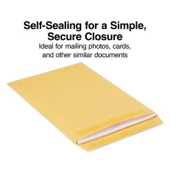 Staples Self Seal Kraft Catalog Envelopes, 9"L x 12"H, Brown, 100/Box (534800/17104)* Catalog