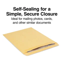 Staples Self Seal Kraft Catalog Envelopes, 10"L x 13"H, Brown, 100/Box (534818/19022)* Catalog