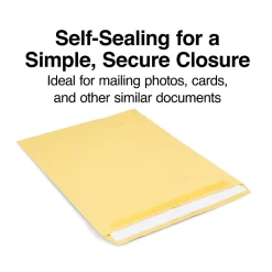 Staples Self Seal Kraft Catalog Envelopes, 12" x 15.5", Brown, 100/Box (534826/17102)* Catalog