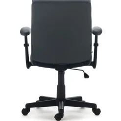 Best Traymore Ergonomic Faux Leather Swivel Computer and Desk Chair, (53246) Ergonomic Chairs