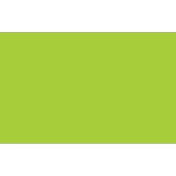 Tape Logic 6" x 3" Rectangle Inventory Label, Fluorescent Green, 250/Roll New