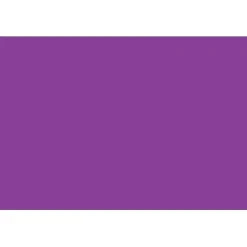 Tape Logic 3" x 6" Rectangle Inventory Label, Purple, 250/Roll Sale