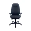 Hot Ergonomic Fabric Swivel Computer and Desk Chair, Black (TP6400-BLK) Office Chairs