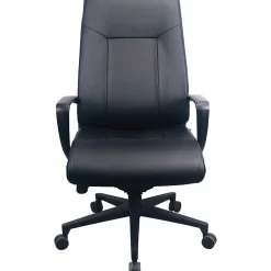 Best Ergonomic Leather Swivel Executive Chair, Black (TP2500-BLKL) Office Chairs