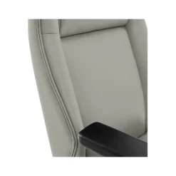 Hot Darius Ergonomic Bonded Leather Swivel Executive Chair, Gray (51490-GRY) Office Chairs