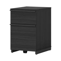 Discount Latimer 2-Drawer Vertical File Cabinet, Pedestal, Burnt Ash, 20.8"D (SPLS-LADF-TV) File Cabinets