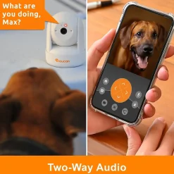 Security Cameras & Systems<Toucan Seek Wireless Indoor Smart Plug-In Pan and Tilt Security Camera Wi-Fi Night Vision 2-Way Talk Live View, White