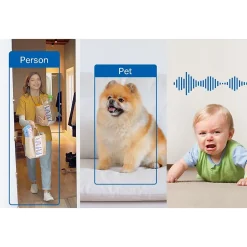 Security Cameras & Systems<TP-LINK Tapo Smart 2K QHD AI Home Security Wi-Fi Camera (TAPO C125)