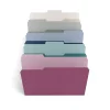 TRU RED ™ File Folders, 3-Tab, Letter Size, Assorted Jewel Tone Colors, 100/Pack (TR58172) Best