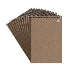 TRU RED ™ Steno Pad, 6" x 9", Gregg Ruled, Kraft, 80 Sheets/Pad, Dozen (TR59940/TR58190) Outlet