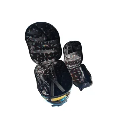 TUCCI Busybee 2-Piece Hardside Spinner Carry-On Luggage Set, TSA Checkpoint Friendly (T0380-busybee)