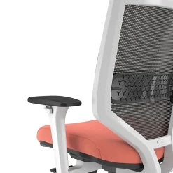 Online ™ Lewis Ergonomic Mesh Swivel Computer and Desk Chair, (UN55654-CC) Ergonomic Chairs