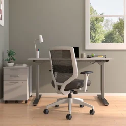 Hot ™ Lewis Ergonomic Mesh Swivel Computer and Desk Chair, (UN55655-CC) Ergonomic Chairs