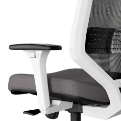 Hot ™ Lewis Ergonomic Mesh Swivel Computer and Desk Chair, (UN55655-CC) Ergonomic Chairs