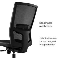 Best ™ Workplace2.0™ 500 Series Armless Vinyl Task Chair, Black 52266) Office Chairs